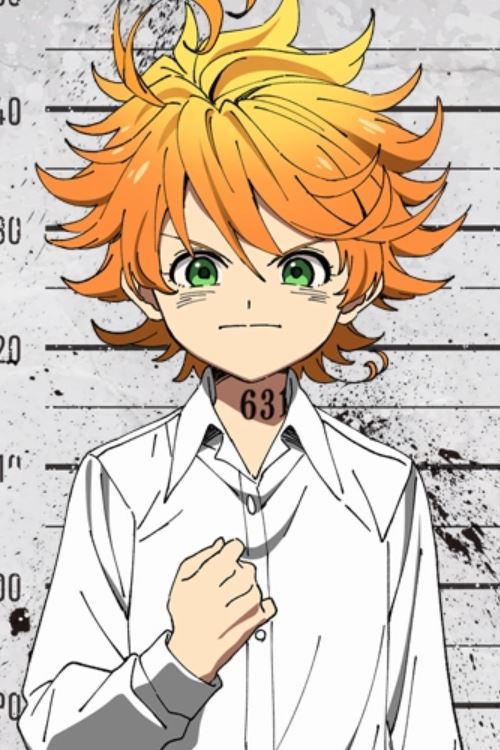 The Promised Neverland Ray Cosplay Wig – FairyPocket Wigs